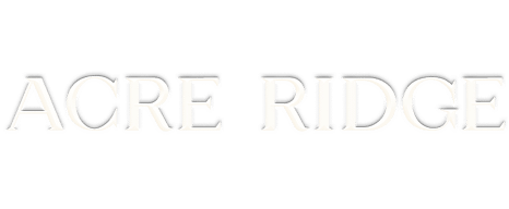 acre-ridge Custom Web Design & Development
