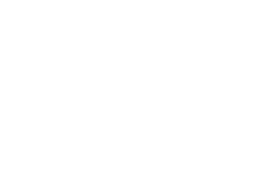 lindt Custom Web Design & Development