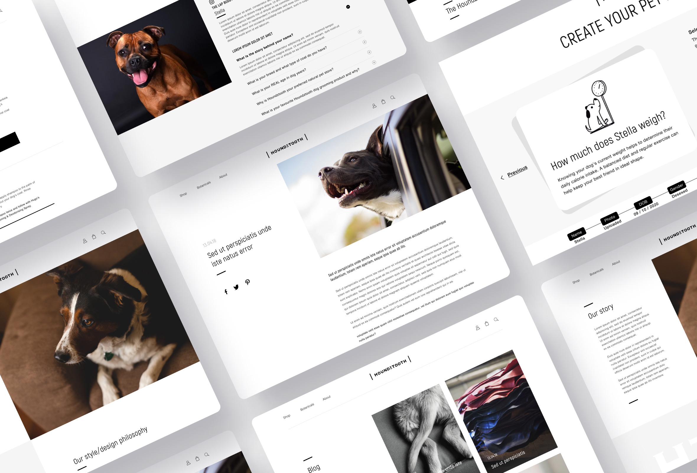 Case Studies 11 Case Studies