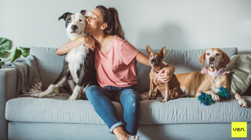 From Idea to Launch: How to Start a Business in Melbourne 3 A woman in Melbourne sits on a couch, kissing a black and white dog while holding two others, one small and brown and the other large and tan. A plant is visible in the background, inspiring her next big idea to launch. | Ven Agency
